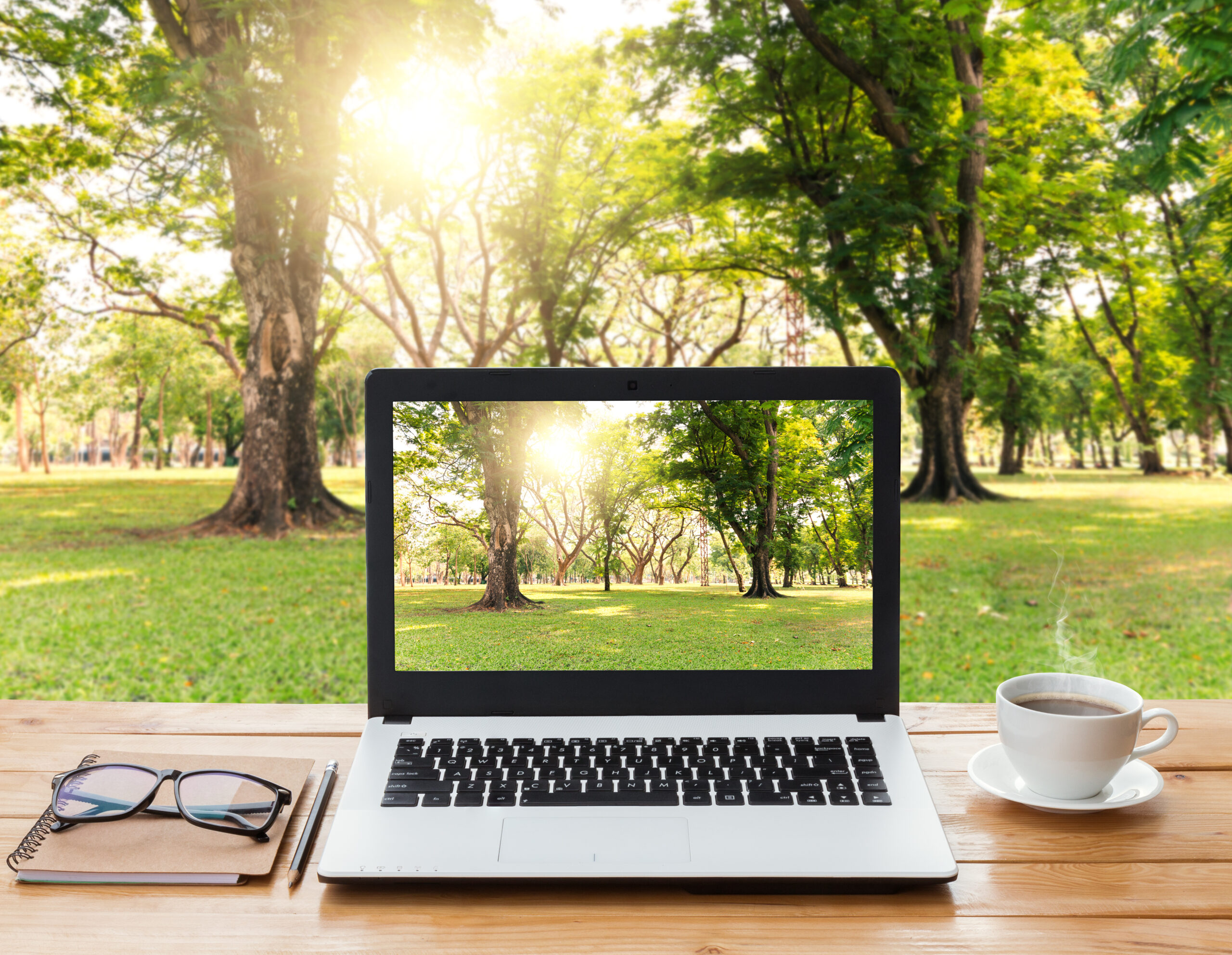 Laptop im grünen Garten