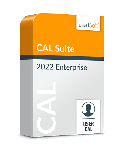 Microsoft Enterprise CAL Suite User 2022 Volumenlizenz 